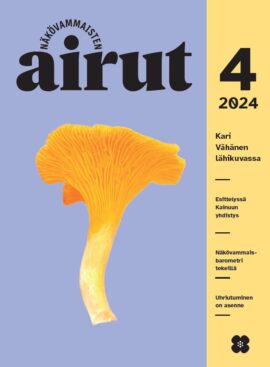 Airut 4/24:n kannessa kantarelli.